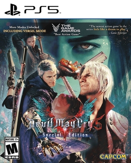 dmc5se