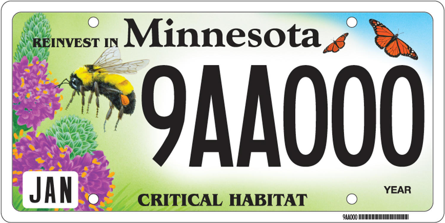 minnesota