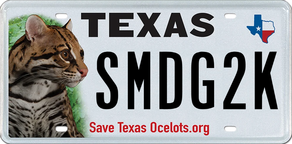 texas